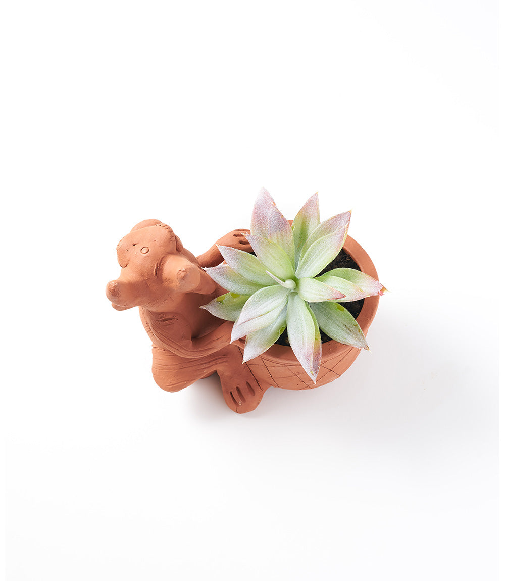 Rakshana Cow Plant Pot - Terracotta