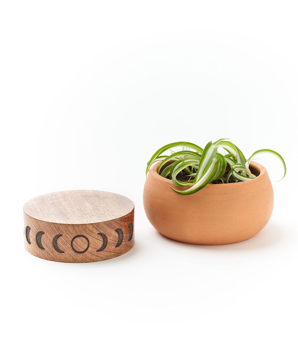 Indukala Moon Phase Terracotta Plant Pot Wood Stand - Large