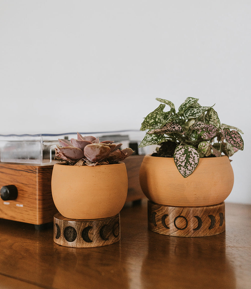 Indukala Moon Phase Terracotta Plant Pot Wood Stand - Large