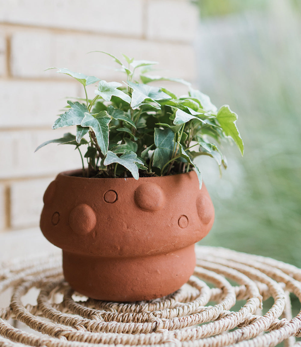 Rakshana Mushroom Plant Pot - Terracotta