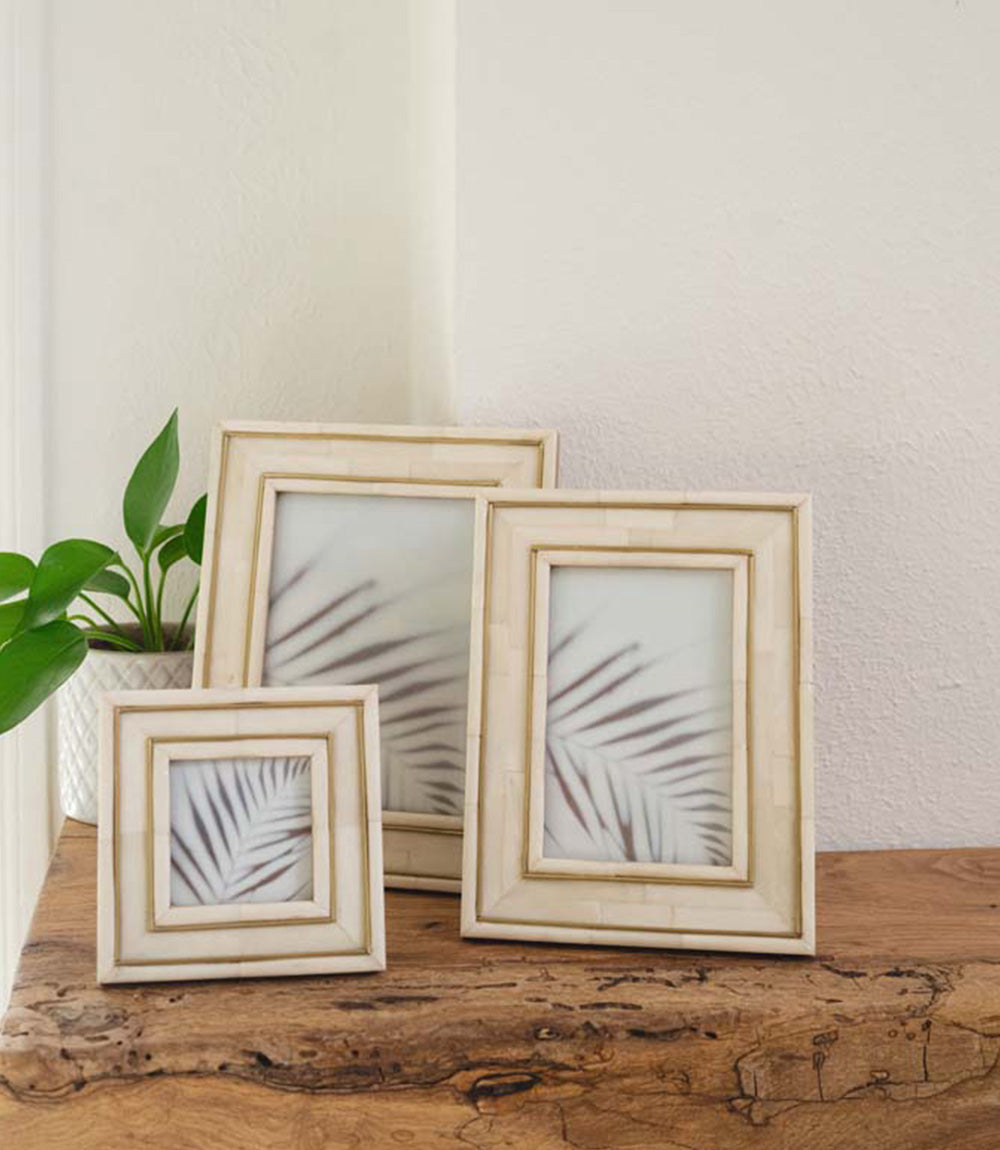 Pravina 5x7 Picture Frame - Carved Bone, Brass Inlay