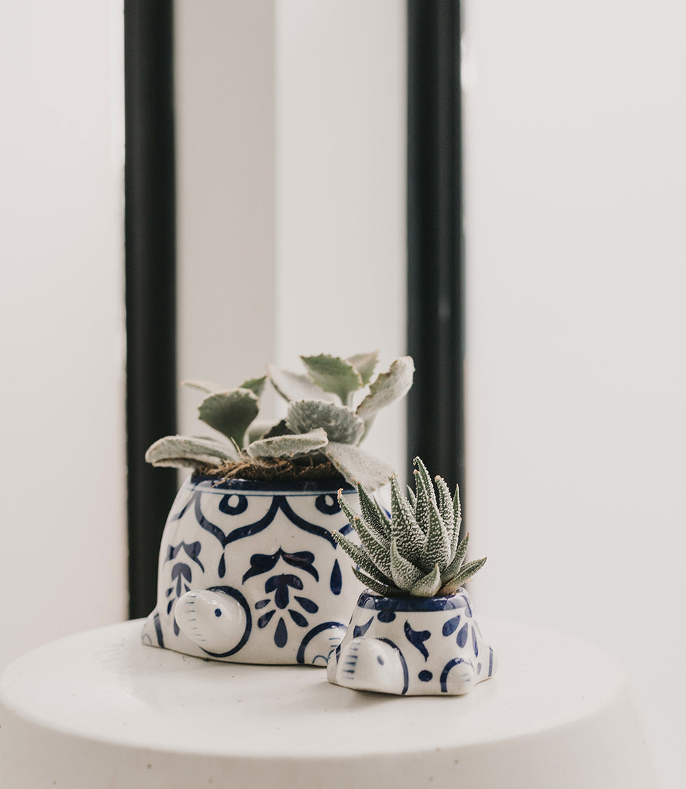 Lalita Baby Turtle Mini Succulent Planter - Hand Painted Ceramic
