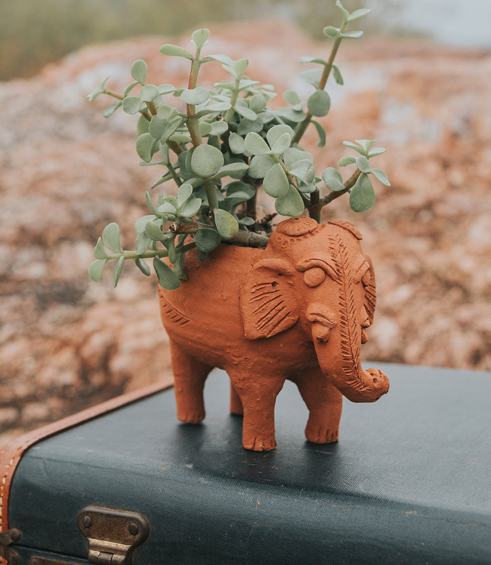 Rakshana Elephant Plant Pot - Terracotta