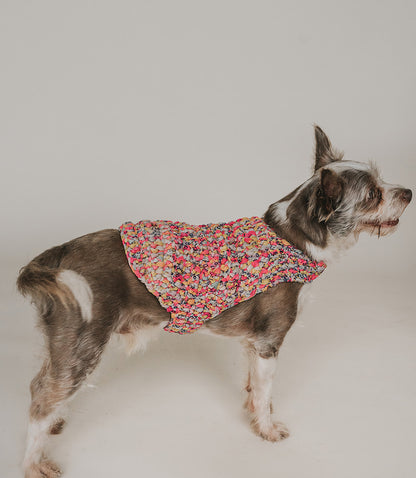 Ishivatva Dog Sweater - Assorted Upcycled Sari Fabric