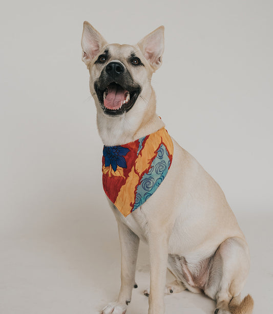 Ishivatva Large Dog Bandana - Assorted Upcycled Sari Fabric