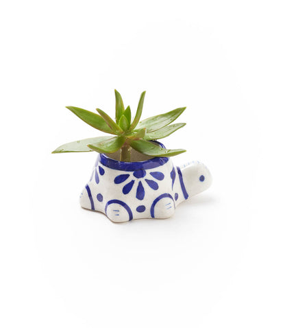 Lalita Baby Turtle Mini Succulent Planter - White, Blue Hand Painted