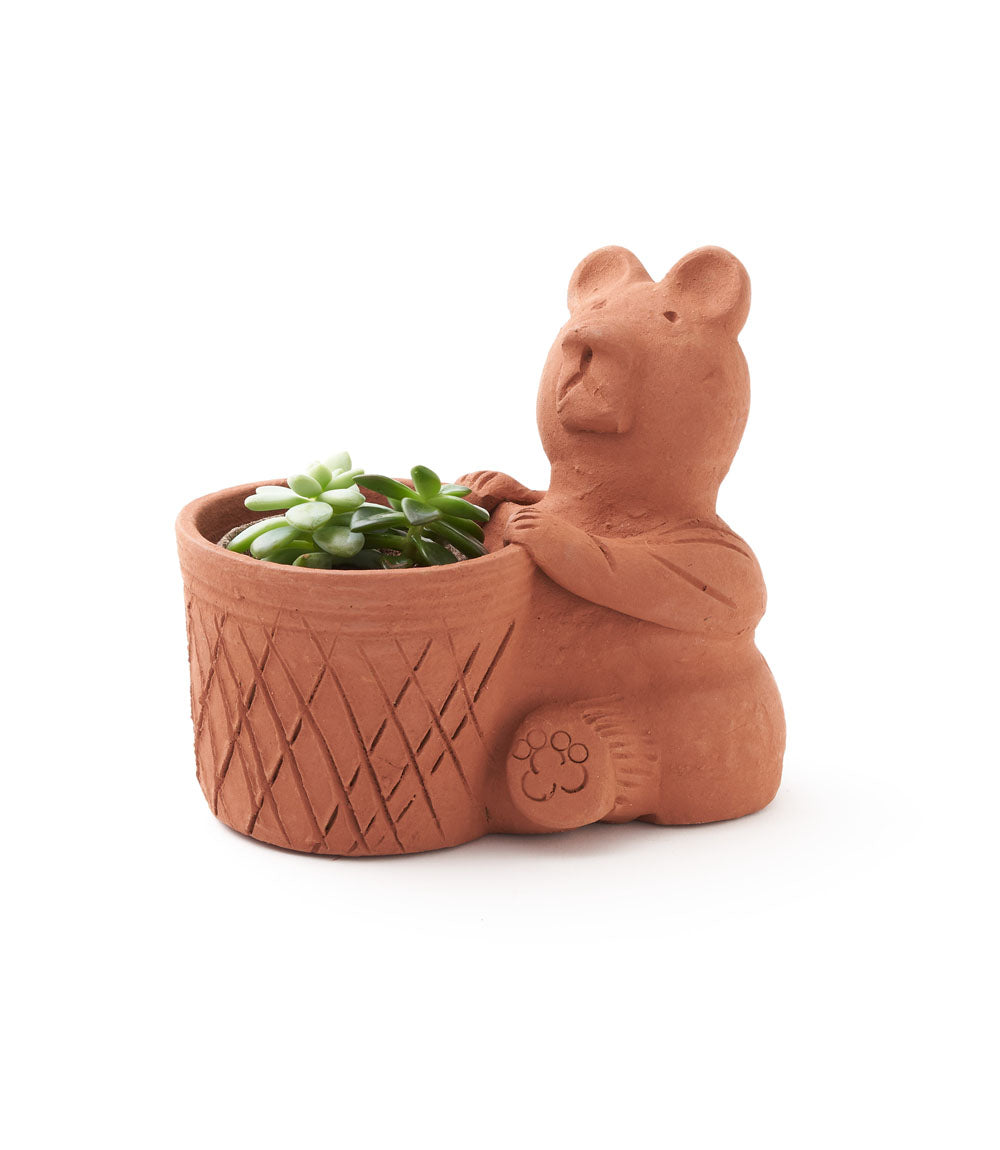 Rakshana Bear Plant Pot -  Terracotta