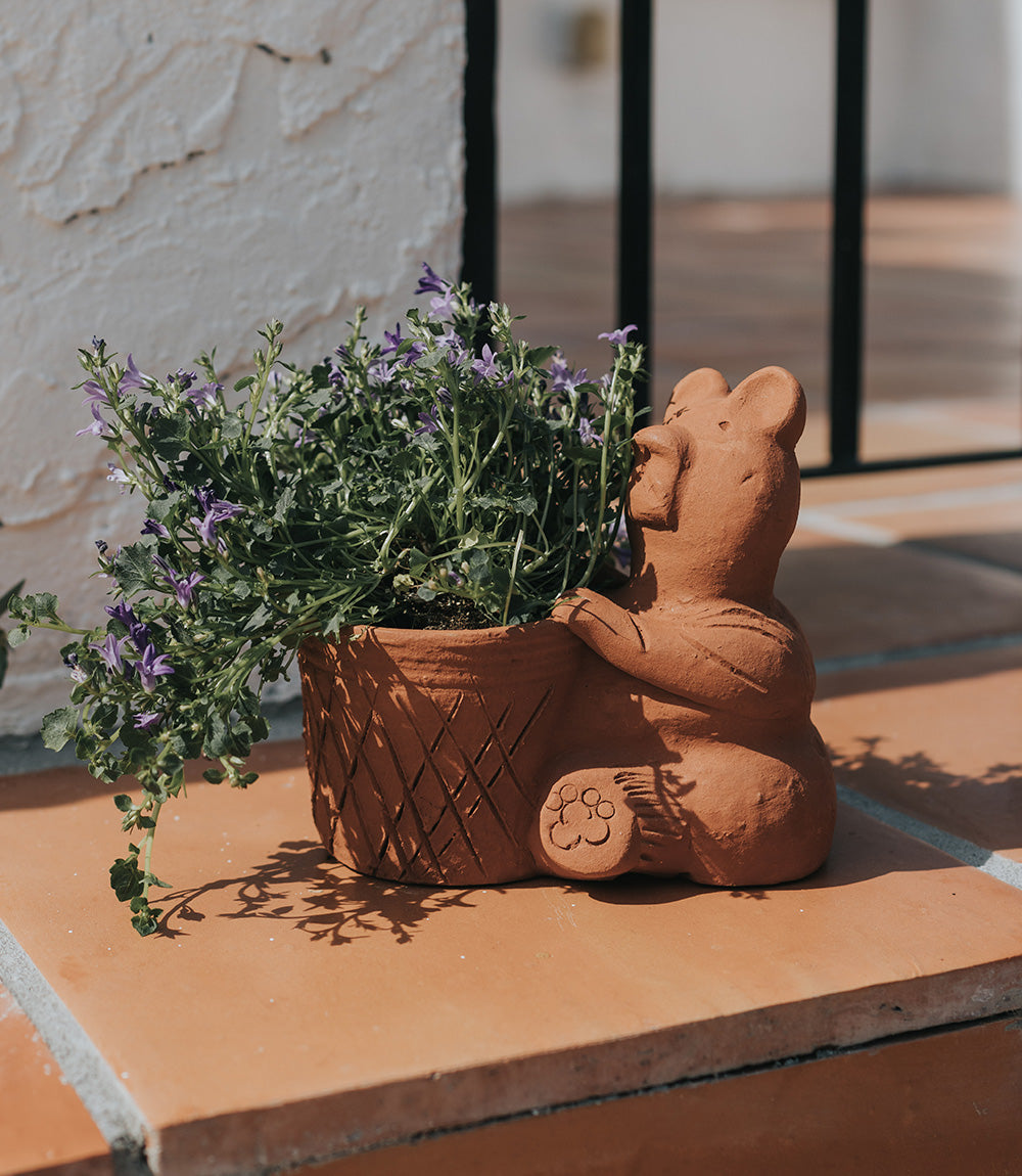 Rakshana Bear Plant Pot -  Terracotta