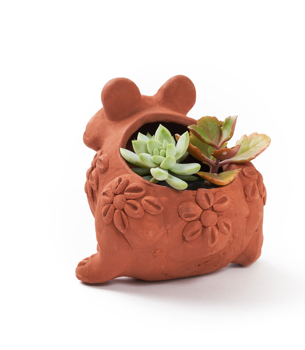 Rakshana Frog Plant Pot - Terracotta