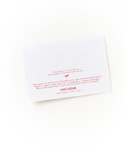 Amala Sunshine 4x6 Seed Paper Note Cards (Set of 6) - Plantable