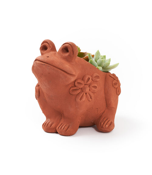 Rakshana Frog Plant Pot - Terracotta