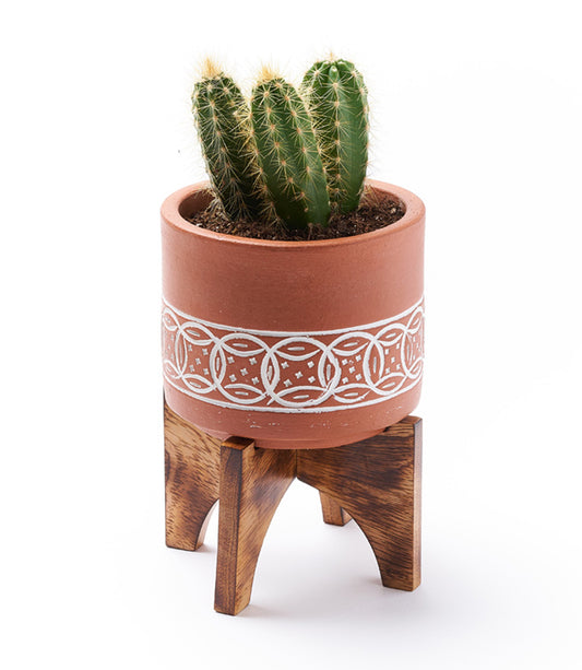 Daksha Terracotta Plant Pot with Wood Stand - large