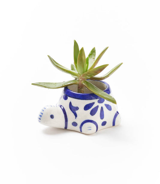 Lalita Baby Turtle Mini Succulent Planter - White, Blue Hand Painted