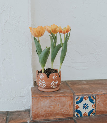 Vasanta Petals Planter with Drainage - Terracotta