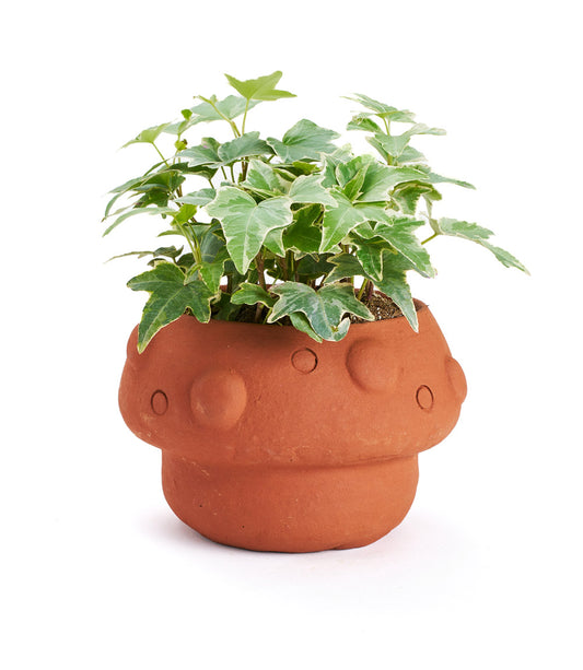 Rakshana Mushroom Plant Pot - Terracotta - Matr Boomie Wholesale