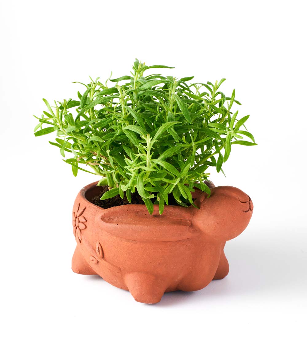 Rakshana Rabbit Plant Pot - Terracotta