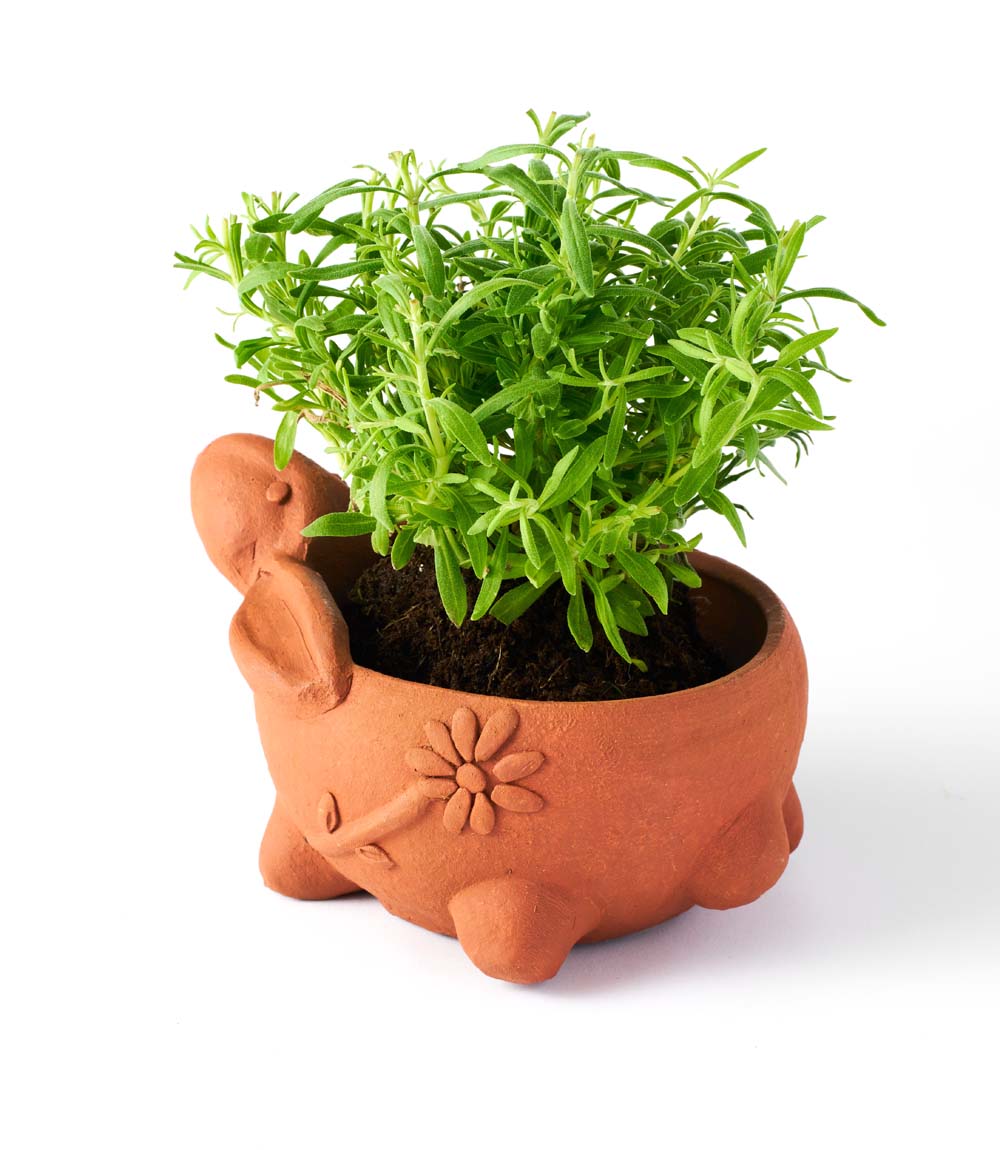 Rakshana Rabbit Plant Pot - Terracotta