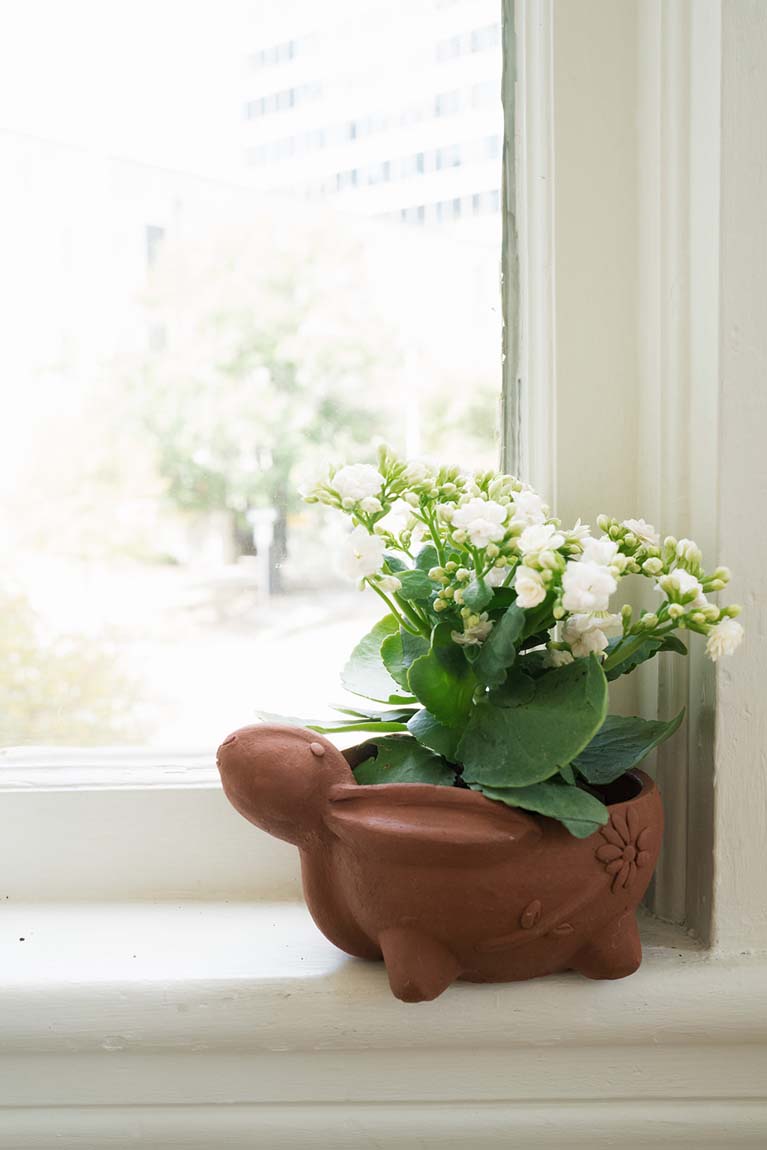 Rakshana Rabbit Plant Pot - Terracotta