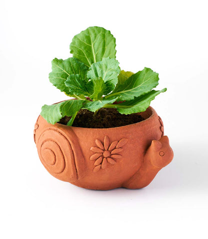 Rakshana Snail Plant Pot - Terracotta