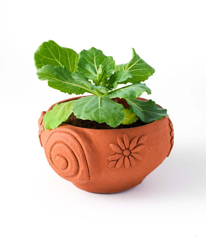 Rakshana Snail Plant Pot - Terracotta