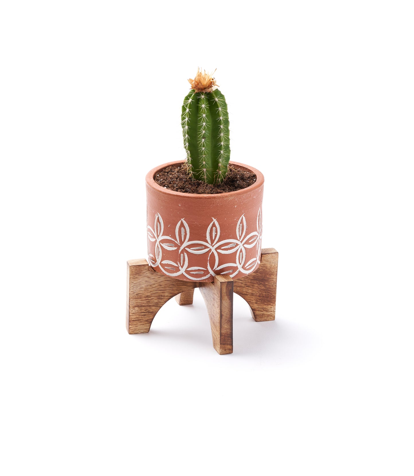 Daksha Terracotta Plant Pot with Wood Stand - Small - Matr Boomie Wholesale