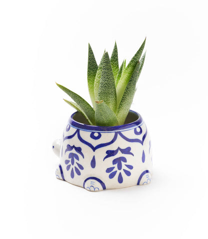 Lalita Mama Turtle Succulent Planter - Hand Painted Ceramic